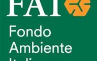 beni_fai_13